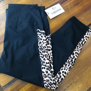 Zyia brilliant capris